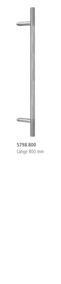 Design-Türgriff H5015, Gebürsteter Stahl / Schwarzes Leder